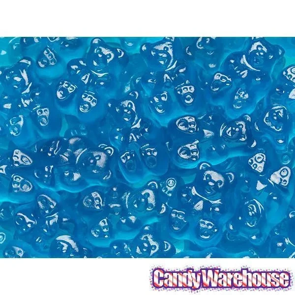 Albanese Blue Raspberry Gummy Bears: 5LB Bag - Image 2