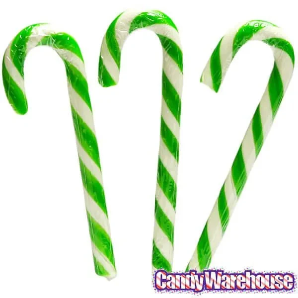 Archie McPhee Pickle Candy Canes: 6-Piece Box - Image 2