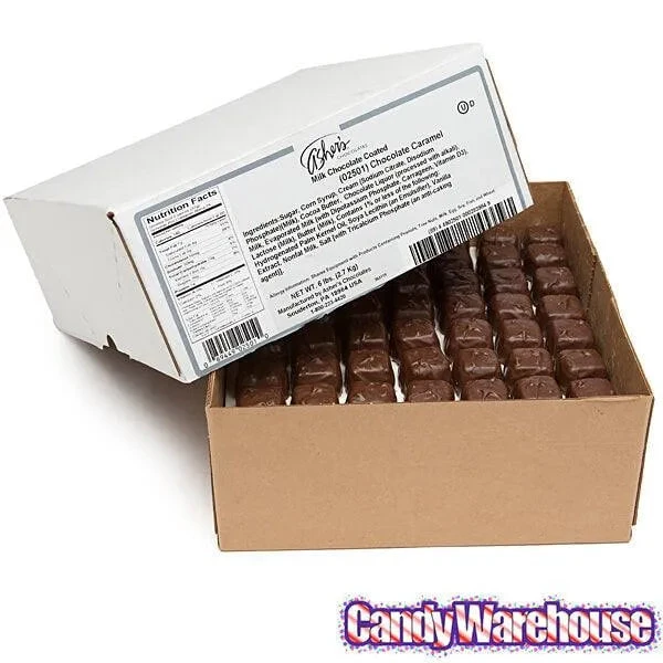 Asher's Chocolate Covered Chocolate Caramels - Milk: 6LB Box - Image 4