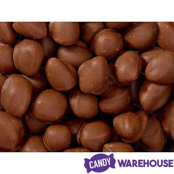 Brach's Double Dippers Milk Chocolate Covered Peanuts: 12-Ounce Bag - Image 4