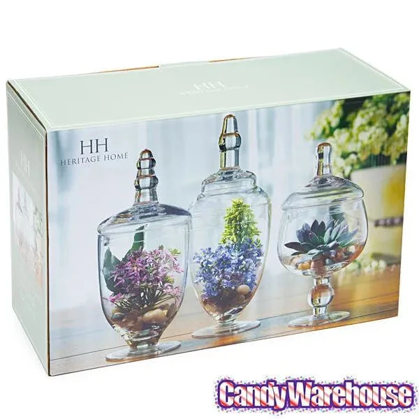 Glass Candy Jars With Lids - 6-Inch: 3-Piece Set - Image 4