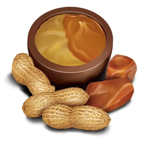 Madelaine Duets Peanut Butter & Caramel Filled Chocolate Truffles: 48-Piece Box - Image 3